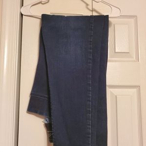 Women's Plus Size Pull On Jeggings